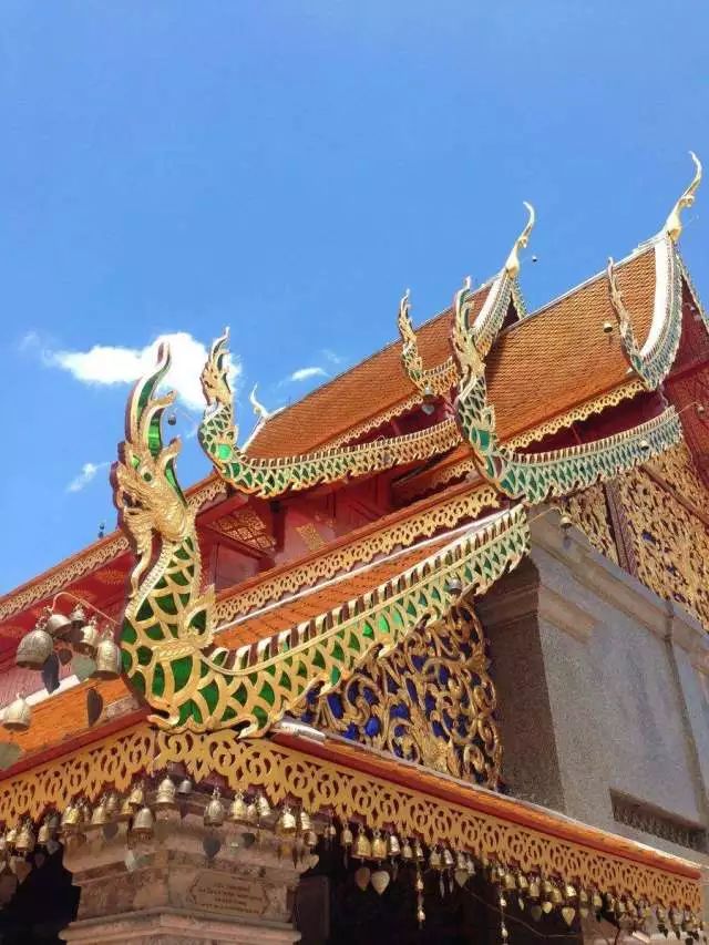 君行体验官专栏丨他在佛之国度，邂逅了一场浪漫