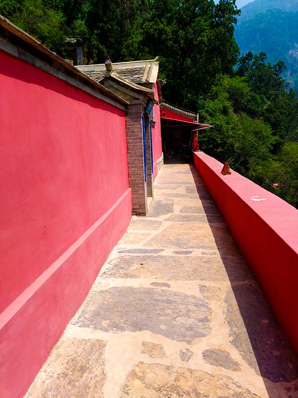 上方山森林动物世界游记,上方山动物园游记四年级