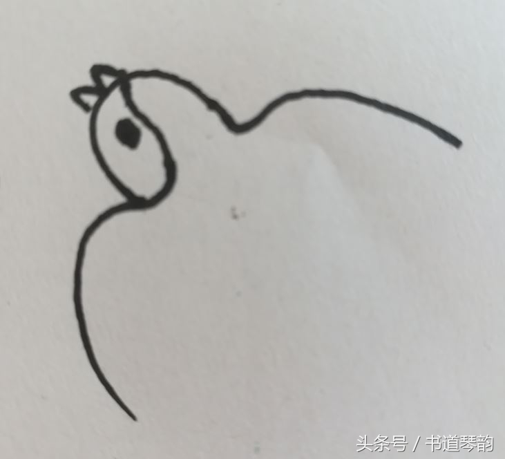 幼儿园简笔画小燕子3秒学会,简笔画小燕子幼儿园教学图片