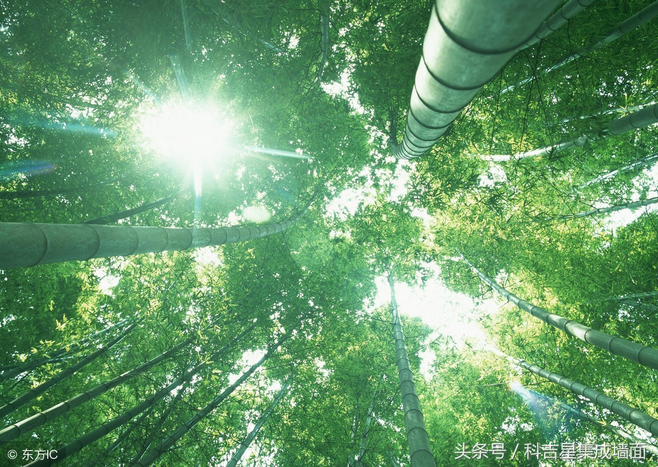 竹木纤维集成墙板60和30区别介绍,竹木纤维集成墙板十大优点