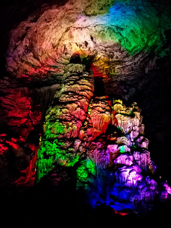 上方山森林动物世界游记,上方山动物园游记四年级