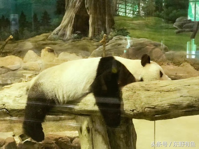 投稿爱情故事800字,投稿爱情故事120字