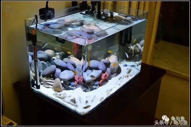 鱼缸水质测试纸正常值对照表,水族用盐用量计算