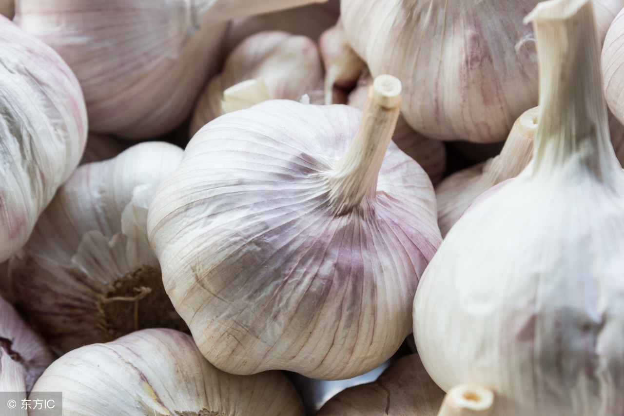 2018年4月11日大蒜主产区价格行情，整体平稳