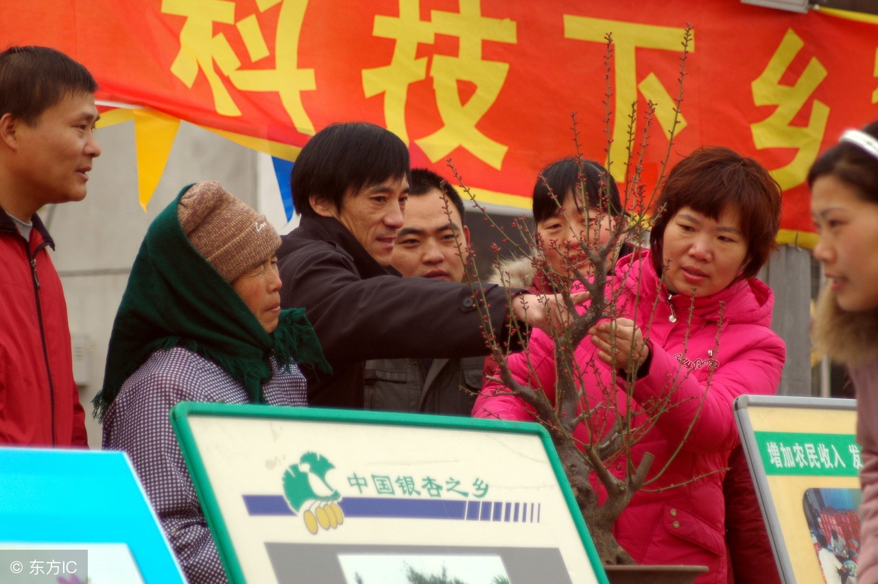 农业龙头企业与家庭农场模式,新型农业经营模式都有哪些