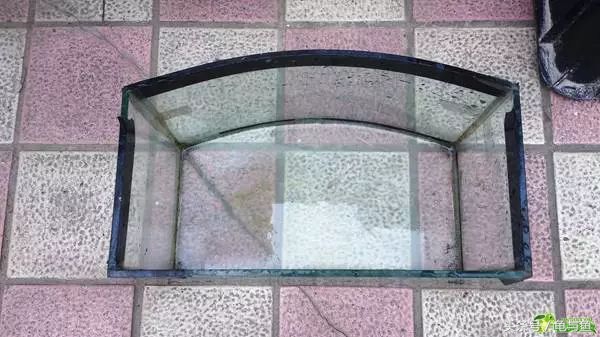 冬眠的正确疗法,冬眠的动物都怎么样越冬