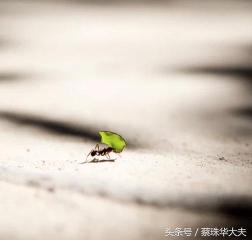 女子看病遭医生性侵警方不予立案,患者被医生性侵案例