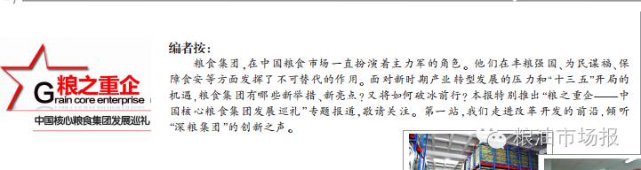 深粮集团最新信息,粮食集团战略发展