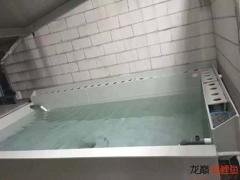 pp塑料锦鲤池,pp板材焊锦鲤池