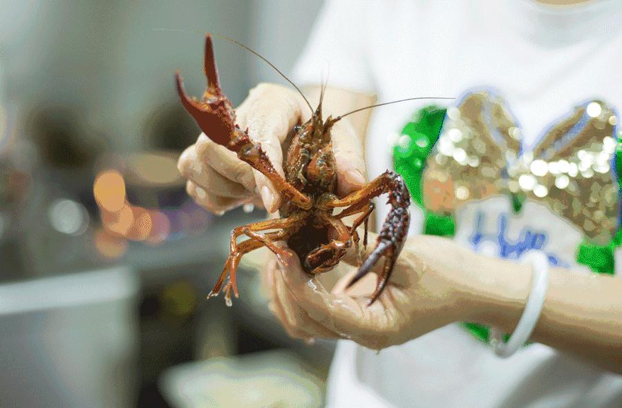 小龙虾广州热销,广州小龙虾排行榜前十名