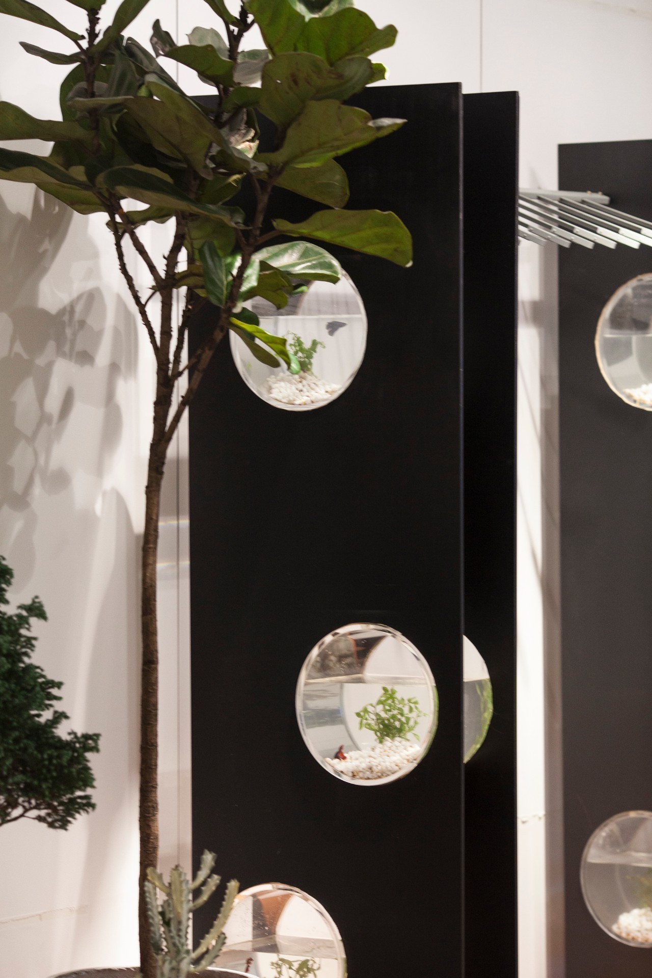 小时候看起来很乖长大后很壮,小时候看得很幼稚长大后才明白