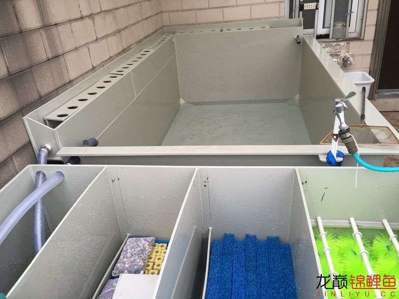 大型pp塑料锦鲤池,超大pp塑料锦鲤池