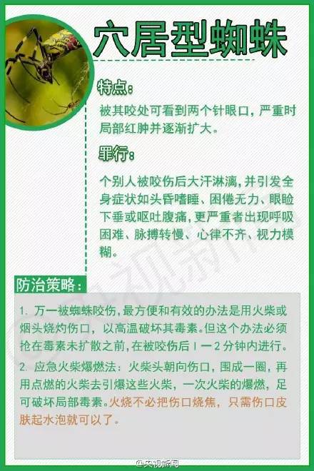 夏天到了，苏州人当心这些小虫，有人进了重症监护室，有人丧了命！