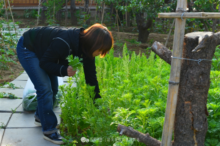 寻觅夏季的清凉,寻觅市井烟火感受光阴阑珊