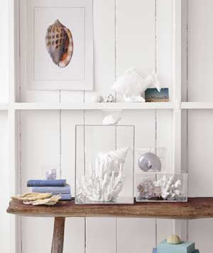 贝壳海洋工艺品摆件,贝壳工艺品叫什么