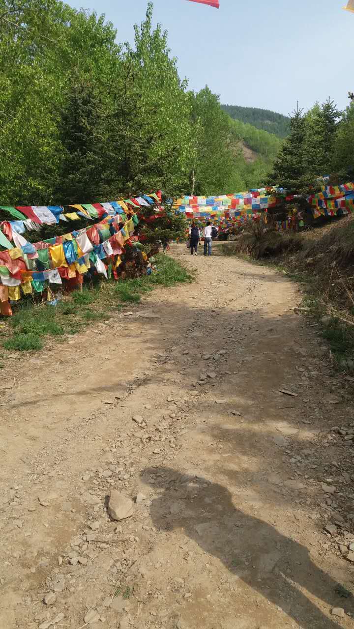 清凉尸林五台山,清凉尸陀林