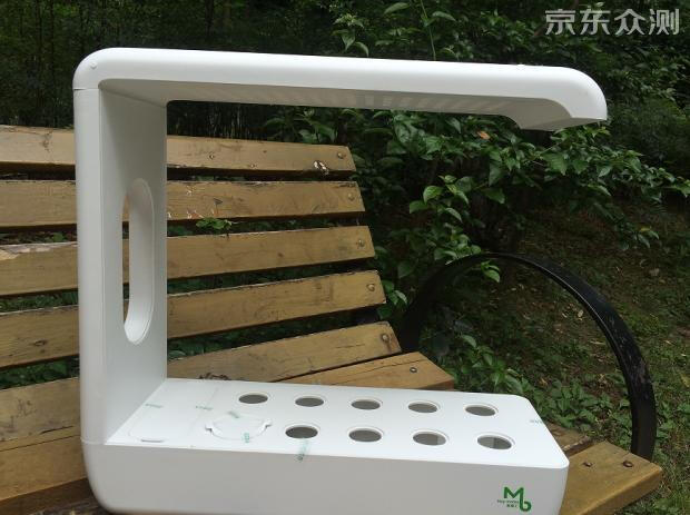 绿色环保农家小菜园,绿色无公害的自家小菜园