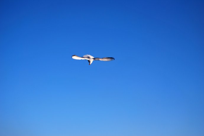 非凡的大多数彩蛋是什么,非凡的大多数彩蛋玩法