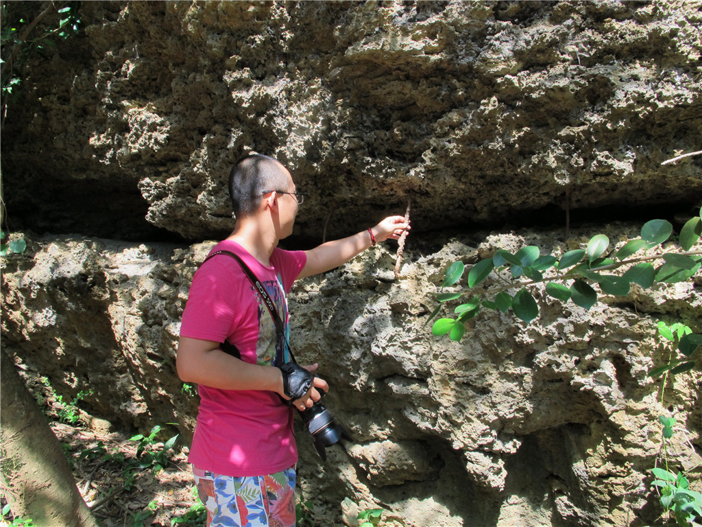 那些年我们一起旅游,台湾垦丁旅游三日游