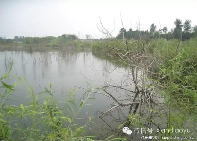 西安灞河钓鱼钓点,灞河路亚白条的钓点