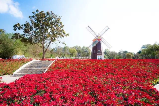泰国旅游攻略大城府,泰国黎府旅游