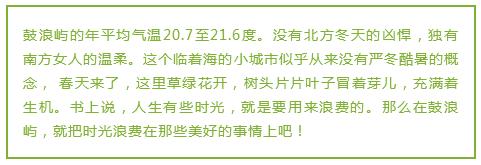 呼和浩特市的现在可以去鼓浪屿吗 (呼和浩特自驾到鼓浪屿)