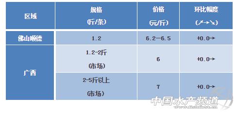 今年斑点叉尾鮰多少钱一斤,叉尾鮰鱼价什么时候会跌价