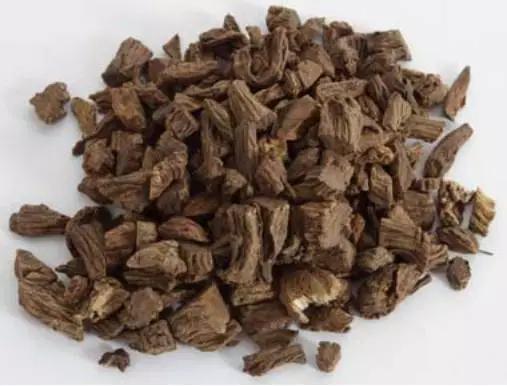 骨碎补续断当归治骨伤,旧骨伤疼痛可以喝续断吗