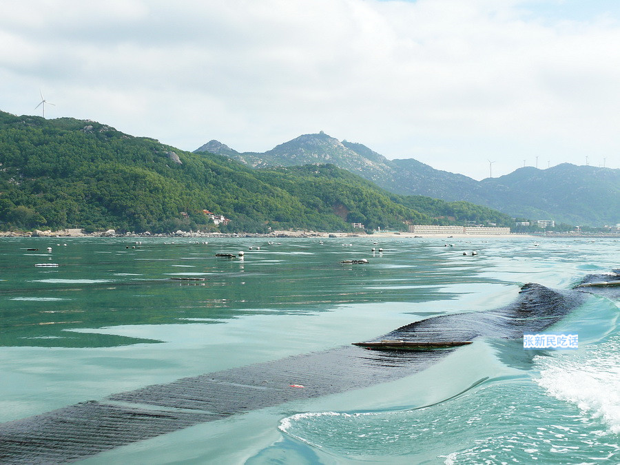 紫菜堪称海藻之王，但潮汕人为什么要说“浪险过打紫菜”呢？