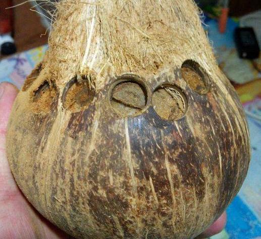 低调才是炫耀：亲手制作椰壳手串详解！