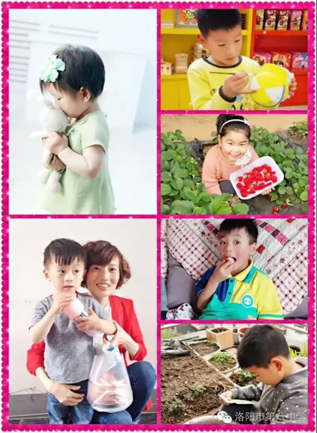 八中洛阳市,洛阳八中学校厉害吗