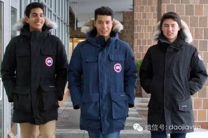 AllaboutCanadaGoose关于加拿大鹅的