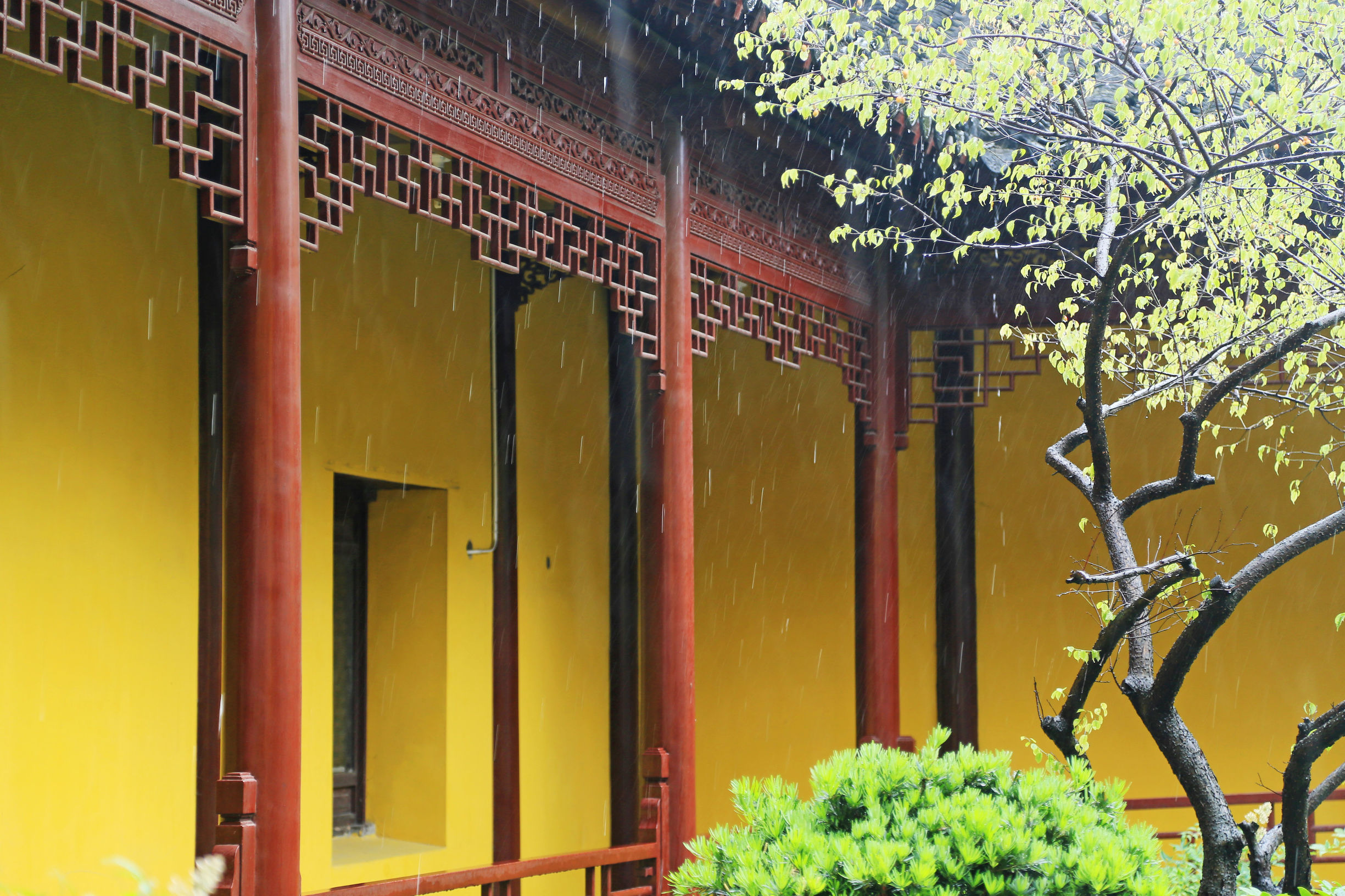苏州天宁寺,天宁寺是全亚洲最大的寺庙吗