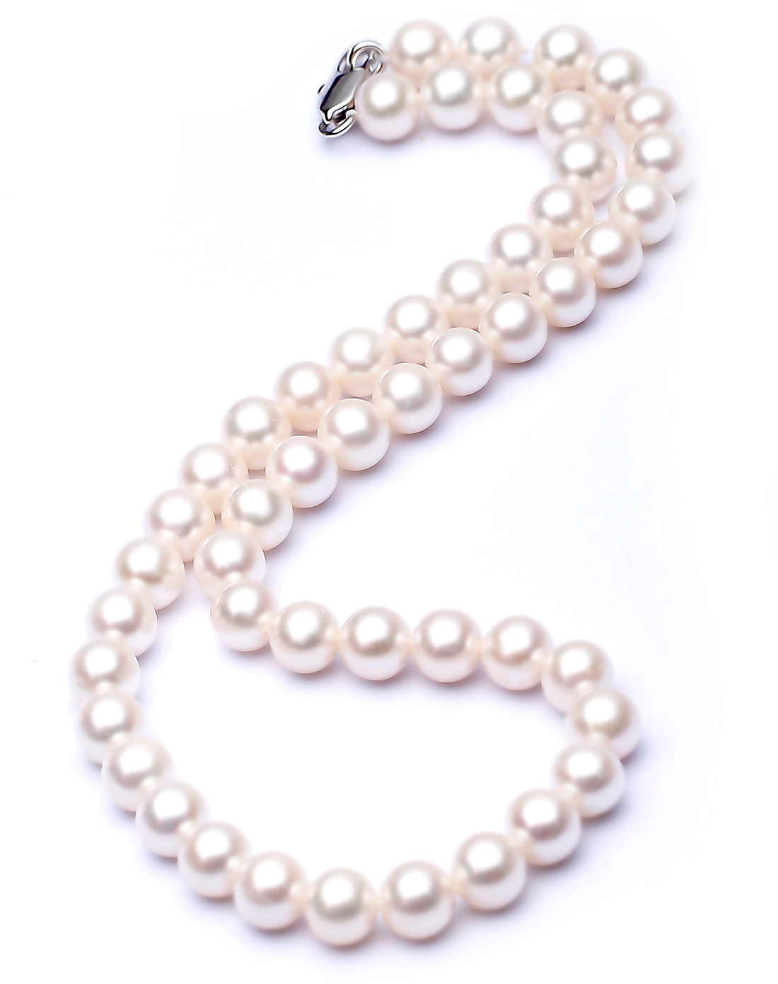 5招教你选珍珠不踩坑,如何挑珍珠蚌视频