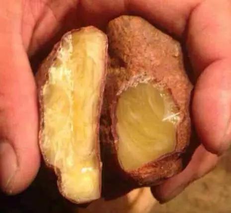 十大最恐怖的琥珀,琥珀造假大揭秘