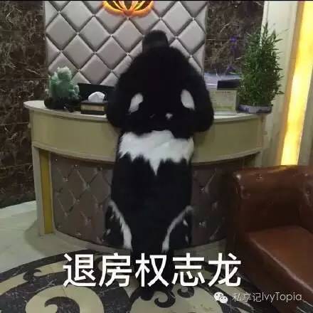 明星原款和淘宝同款有什么区别,淘宝同款和淘宝同款的区别