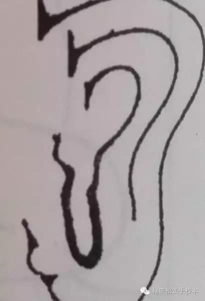 看耳朵知长相,如何看耳朵识别女人