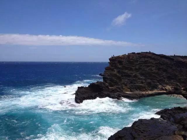 夏威夷和周冬雨,余文乐周冬雨夏威夷