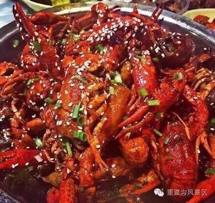 2016首届重渡沟草坪音乐节火热来袭！