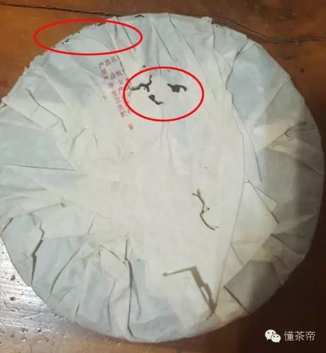 茶饼有了小虫子怎么办,茶饼里的虫子是什么