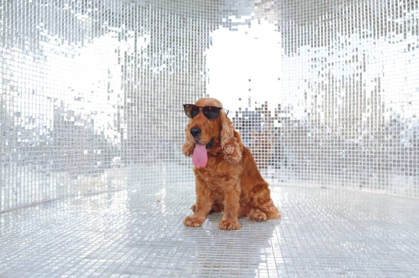 亚龙湾美高梅蜜月,海棠湾红树林和亚龙湾美高梅