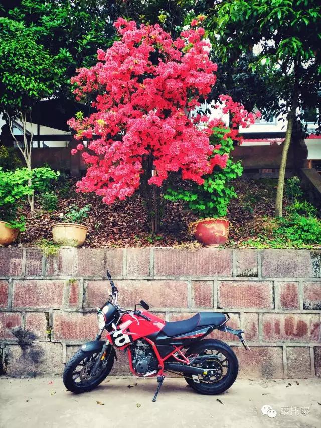 摩托之家阿普利亚rs660,摩托家