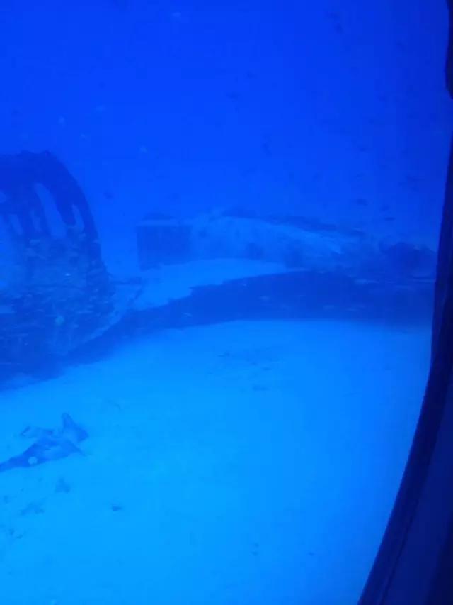 夏威夷和周冬雨,余文乐周冬雨夏威夷