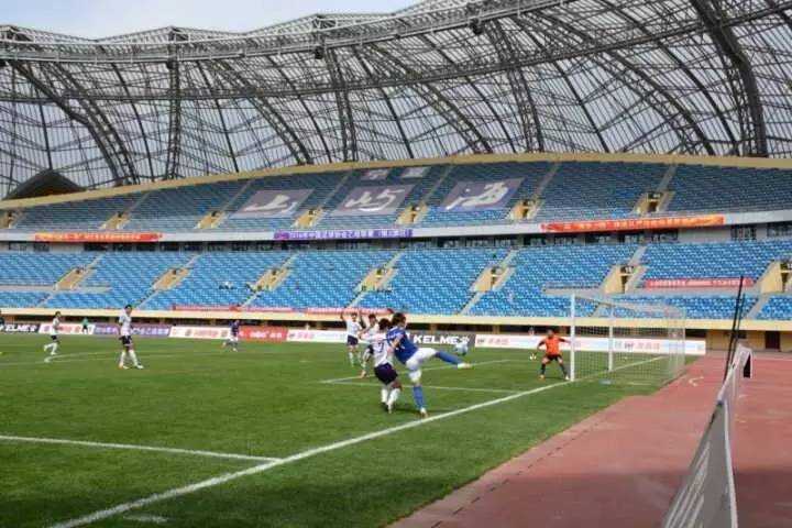 今天焦点直播,焦点最近视频