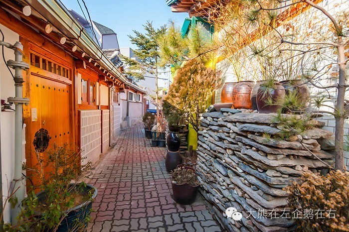 去台湾旅游被问最多的话题,去泰国被问得最多的问题