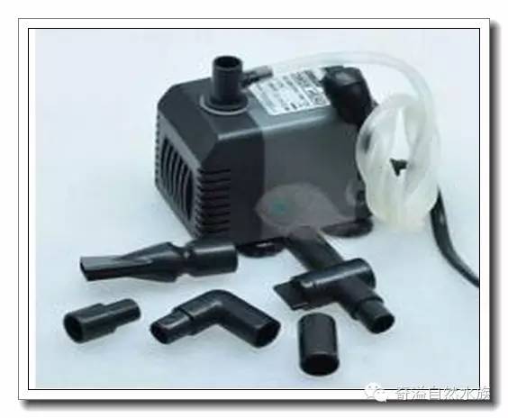 水族新手养鱼攻略,鱼缸养鱼攻略新手必备