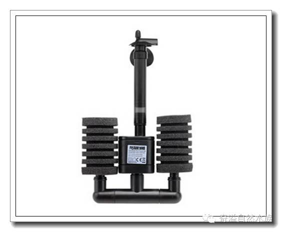 水族新手养鱼攻略,鱼缸养鱼攻略新手必备