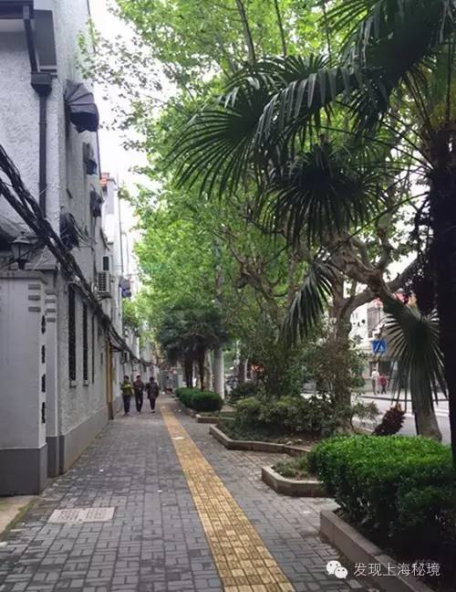 上海永不拓宽的马路怎么逛,上海永不拓宽的马路有哪几条