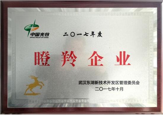 家庭健康结硕果:益健堂2017荣誉满满受称赞