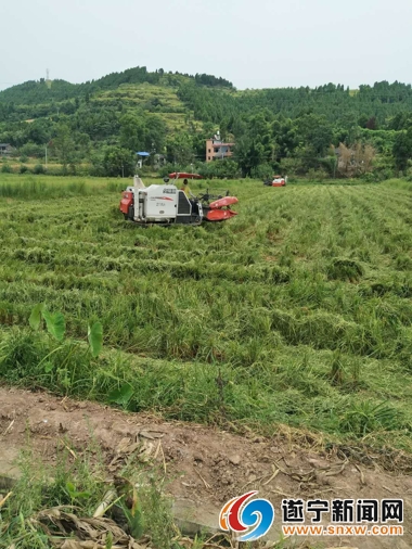 农场转型农庄经营模式,家庭农场贫困户经营模式